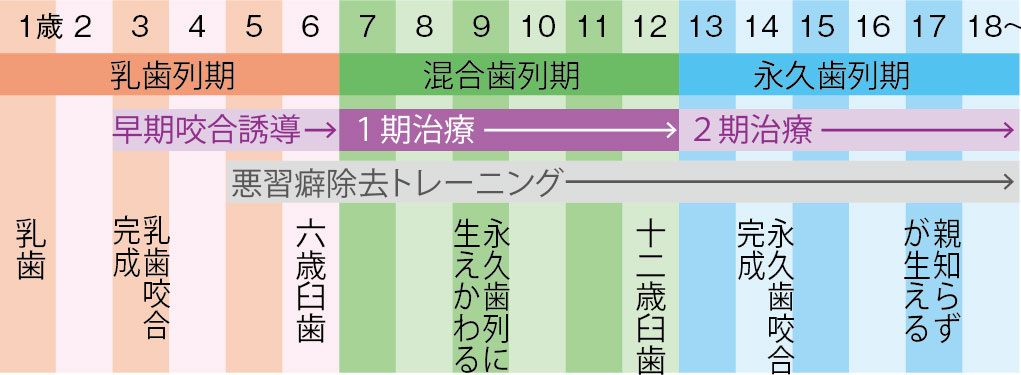 各成長段階による治療