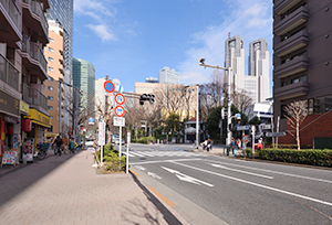 ルート写真