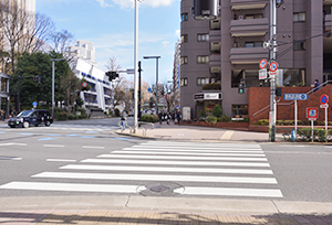 ルート写真